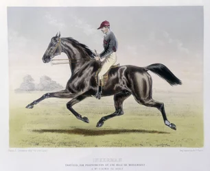 Inkerman - elokuvassa "The Kentaur"