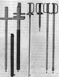 Miekkapääskyn käyttämät instrumentit. Kaiverrus "" Luontoon: katsaus tieteisiin ja niiden sovelluksiin taiteeseen ja teollisuuteen "", 21. heinäkuuta 1883.