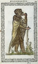 Seisova mansikka - Jean Sulperiuksen teoksessa "Habits et effigies".