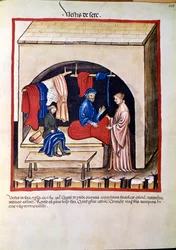 Lääkekauppa: "" silkkivaatteiden kauppias"" Sivu otettu julkaisusta "" Tacuinum sanitatis"" (Cod. ser. nov. 2644) Noin 1400 Wien, Itävallan kansalliskirjasto