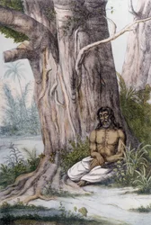 Meditaatio puun juurella, Intia.