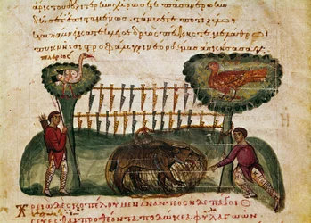 Karhunmetsästyskohtaus Syyrian Oppianin (Oppian tai Oppianuksen) (3. vuosisadalla jKr.) metsästyksestä "The Cynegetics" omistettu Caracallalle. 1000-luvun Venetsia. Biblioteca Marciana