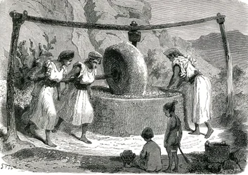 Oliivien mylly Algeriassa 1885