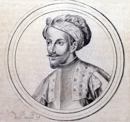 Savoylaisen Amedee V:n muotokuva sanoi Le Grandin (1249 - 1324) (Amedeo VI di Savoia detto il Grande) Samuel Guichenoun, Lyon 1660, teoksessa "Savoian kuninkaallisen talon genealoginen historia".