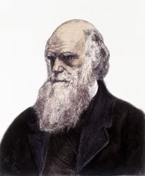 Charles Robert Darwinin muotokuva, brittiläinen luonnontieteilijä (1809-1882)