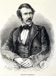 David Livingstonen muotokuva, skotlantilainen lähetyssaarnaaja (1813-1873)