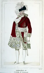 Napoleon I:n (1769 - 1821) muotokuva juhlapuvussa.