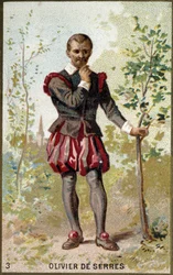 Olivier de Serresin (1539 - 1619), ranskalaisen agronomin muotokuva. 1800-luvun kromolitografia.