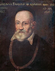Uraauurtavan anatomin ja kirurgin Hieronymus Fabriciuksen muotokuva (maalaus