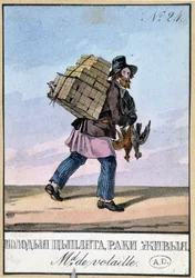Siipikarjakauppias - Kaiverrus 1800-luvulta
