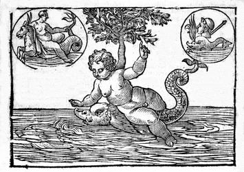Edustus Inosta, meren jumalasta, ja hänen poikastaan ​​Palemonista. Kaiverrus "Mytologiasta tai tarinoiden selityksistä", jonka on antanut Natalis Comitis. 1637