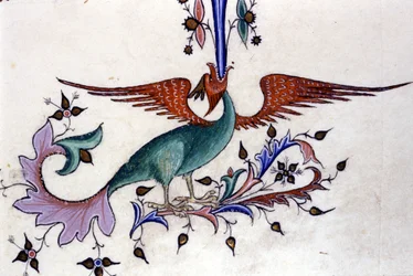 Lohikäärmeen siiven kuvaus. Miniatyyri 1300-luvun käsikirjoituksesta. Milano, Biblioteca Nazionale Braidense.