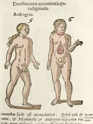 Androgyynin ja hermafrodiitin esitys. Taulu Cornelio Gemman teoksesta "De natura Divinis caracteris", 1575