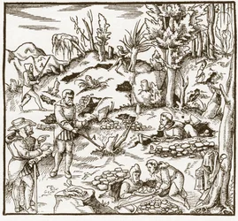 Rhabdomancy - rhabdomancie - Kaivoskentän tutkiminen ennustussauvan avulla - Miehet leikkaavat ja käyttävät ennustussauvoja mineraalien paikallistamiseen - Georgius Agricolan (Georg Bauer), Baselin teoksesta "" De re metallica"