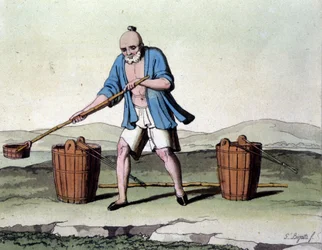Riisin viljely Kiinassa. 1800-luvun printti.