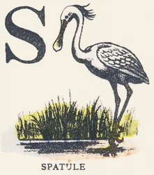 S: lastalla