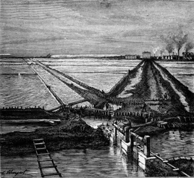 Suolan tuotanto: näkymä suolavesialueelle (suolalle) Välimeren rannikolla. Kaiverrus 1800-luvulta