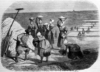 Suolan tuotanto: naiset työskentelevät suolamailla. 1800-luvun kaiverrus