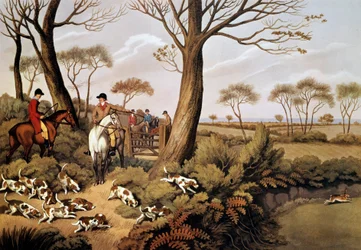 Kohtaus jänisten metsästys Englannissa. 1800-luvun litografia Gien, metsästysmuseo