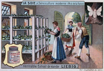 Silkki: silkkipaja Etelä-Ranskassa, Liebig-julkistus, v. 1895