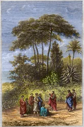Pythagoraan koulu - Pythagoras oppilaidensa joukossa Krotonassa - kaiverrus 1879 - Filosofi Pythagoras ja hänen opetuslapsensa Crotonen varjossa, kaiverrus vuodelta 1879