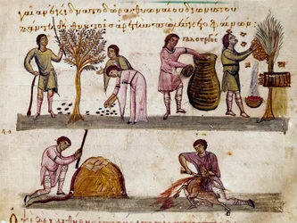 Oliivisato, hunajan tuotanto ja karitsan teurastukset Caracallalle omistetun Syyrian Oppianin (Oppian tai Oppianus) (3. vuosisadalla jKr.) metsästyslypsyn pienoismalli. 1000-luvun Venetsia. Biblioteca Marciana