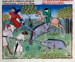 Pienoisvillisian metsästys kirjasta "Metsästyksen kirja", jonka on kirjoittanut Gaston III Phoebus, Foixin kreivi, Bearnin herra (1331-1391)
