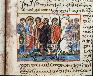 Egyptin haavat: Sammakoiden hyökkäys Miniatyyri "" Codex of the Octateuch of Serail"" (ms.8 tai Seraglio Octateuch) 1100-luvun Topkapi Sarayi -museon kirjasto Istanbulin kirjasto