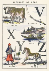 V X Y Z: lehmä, yole, zouave, seepra