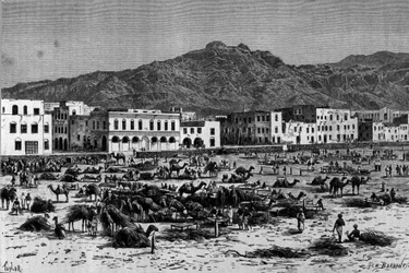 Näkymä Adenin marssista Abessiniassa. Kaiverrus noin 1880