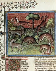Mottomme on susi ja koko sen luonto. Miniatyyri Gaston Phoebusista (1331-1391) ja Gaston III Comte De Foix