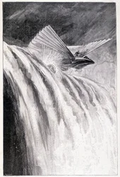 Siivekäs ajoneuvo ylittää vesiputouksen, sairas. "" Maailman mestari", Jules Verne, 1800-luvun loppu.