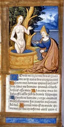 Nainen wc:ssä. Pentateukin käsikirjoituksen sivu. 15-luvulla. Bibl. Braidense, Milano.