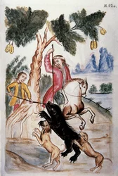 Karhunmetsästys, kirjasta "Trujillo of Peru" tai "Codex Martinez Companion", kirjoittaneet Balthazar Martinez Companion ja Bujanda, Trujillon piispa (1782-1785)