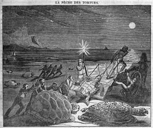 Kilpikonnien pyydystäminen Kuuban rannikolla - kaiverrus 1800-luvulta