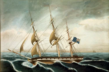 Englantilainen korvetti (print