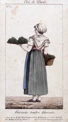 Vihreiden papujen kauppias - paikassa “” Cris de Paris”, deb. 1800-luvulla