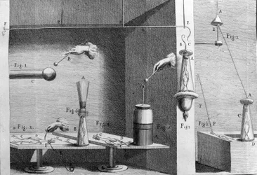 Kuva italialaisen fyysikon ja lääkärin (1737 - 1798) Luigi Galvanin kokeista, jotka selittävät sammakon jalkoja liikuttavan sähkövirran kulkua.
