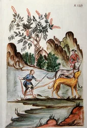 Intiaanit kyntämässä peltoa koirien kanssa, Baltazar Martinez Companionin ja Trujillon piispan (1782-1785) Bujandan kirjasta "Trujillo del Peru" tai "Codex Martinez Companion"