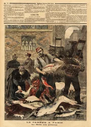 Kalamarkkinat Pariisissa. Kaiverrus "" Le petit journal""" 4/03/1893. Selvan kokoelma.
