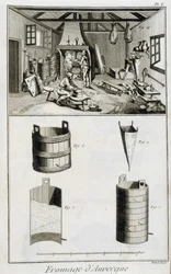 Auvergne-juuston valmistus - Diderot et d