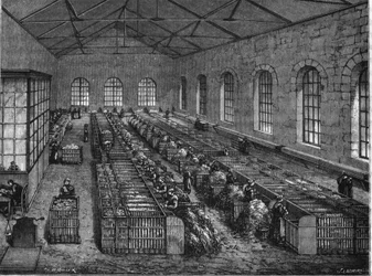 Paperinvalmistus 1800-luvulla.