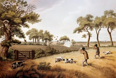 Peltopyyn metsästyskohtaus: 1800-luvun litografia Gien, metsästysmuseo