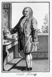 Carl Von Linnén muotokuva ruotsalainen luonnontieteilijä ja kirjailija (1707 - 1778). Sd. kaiverrus 1800-luvulta.