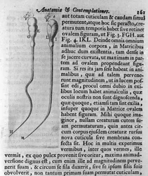 Esitys koiran siittiöistä Kuvauksen teki hollantilainen kauppias ja tiedemies Antoine van Leeuwenhoek (tai Leeuvenhoek Leeuwenhoeck) (tai Antoni tai Anthonie) (1632-1723). Kaiverrus teoksesta "Investigatio Arcanorum" 1722