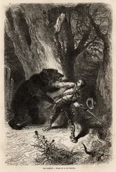 Kirjoittaja on Jacksonvillen ympärillä retken aikana yllättynyt metsässä kotikarhusta ja ketjusta. Kaiverrus havainnollistamaan tarinaa neljä kuukautta Floridassa, Achille Pousselgue vuosina 1851-1852, julkaistu "" Le tour du monde" -lehdessä 1870-1871, to