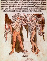 Gemeaux Detailin tähdistö on peräisin Kaksosten (kaksosten) tähdistöstä, joka on katsottu roomalaiselle historioitsijalle Hyginukselle (Gaius Julius Hyginus) (1. vuosisadalla eKr.).