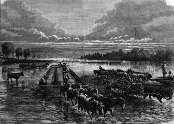 Öljytynnyrien kuljetus Oil Creekiin, Pennsylvaniaan, Yhdysvaltoihin