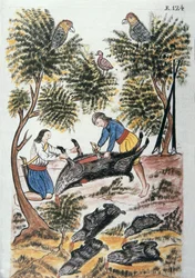 Nuoret intiaanit teurastavat villisikaa Trujillon piispan (1782-1785) Baltazar Martinez Compañón y Bujandan kirjasta "Trujillo del Peru" tai "Códice Martínez Compañón"