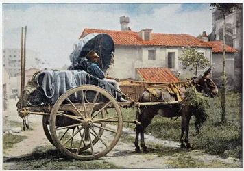 Kärry kuljettaa viiniään. Rooma, Italia, 1800-luvun loppu.